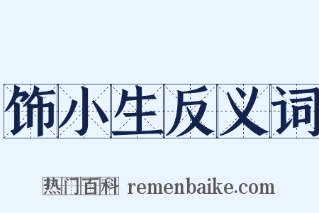 饰小生反义词是什么意思的图片
